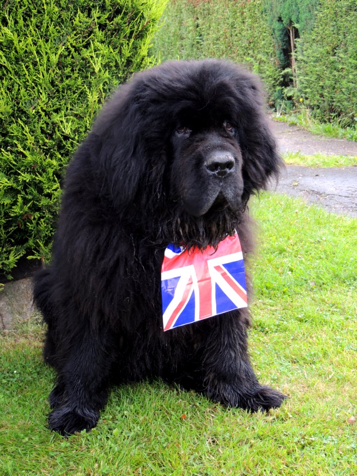 Lincoln, United kingdom, Union flag