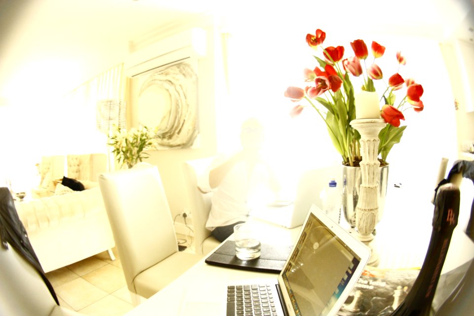 A laptop next to a vase full of red roses.
