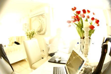 A laptop next to a vase full of red roses. photo