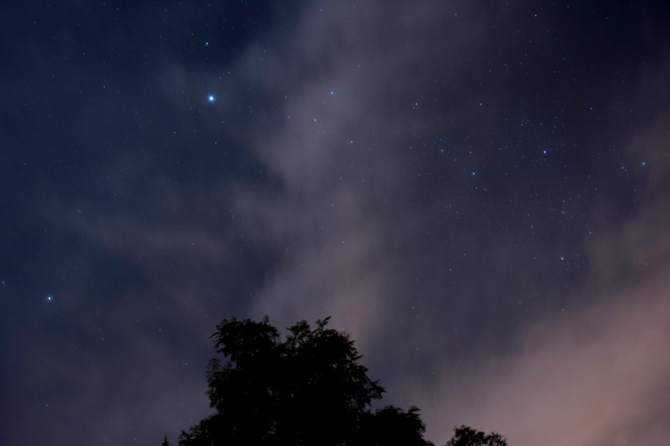 Star, Stars, Starlight