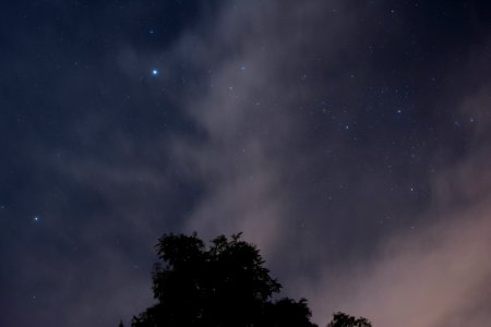 Star, Stars, Starlight