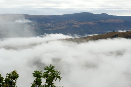 South africa, Wolwekrans eco lodge, Nelspruit