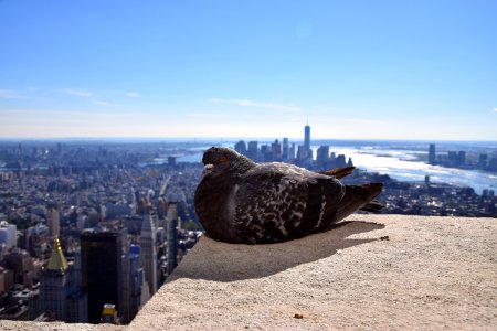 New york, Empire state building, United states