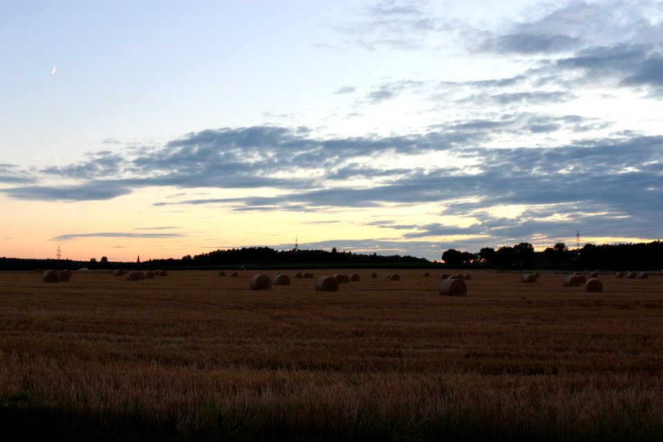 Meadow, Moon, Sunset