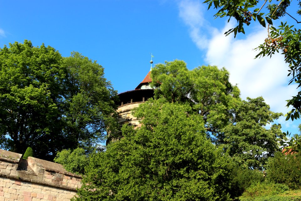 Green, Building, Trees