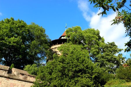 Green, Building, Trees