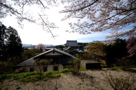 Kyoto prefecture, Osaka, Japan