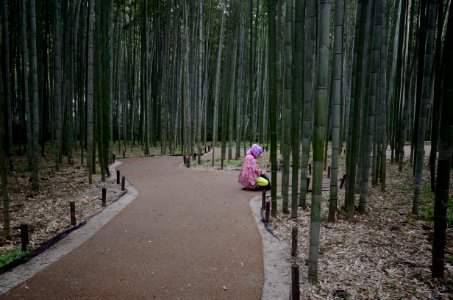 Kyoto, Japan