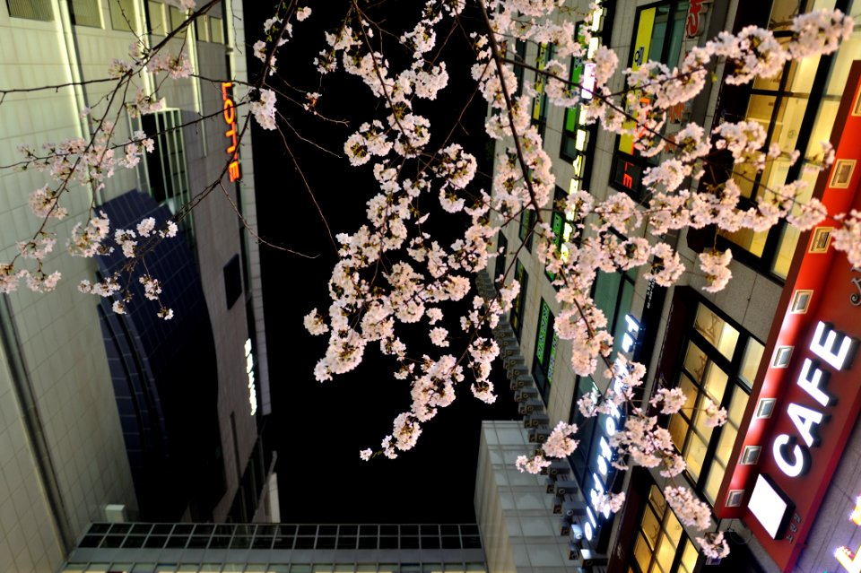 Nowongu, Seoul, South korea