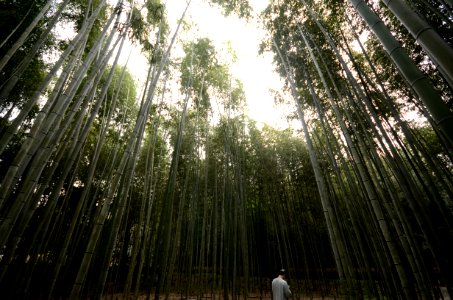 Kyoto, Japan