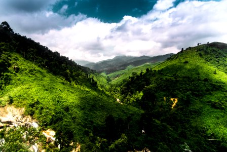 forest and grass covered mountains during day photo