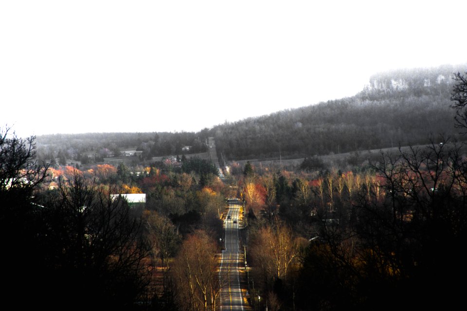 gray concrete road between trees during daytime