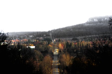 gray concrete road between trees during daytime photo