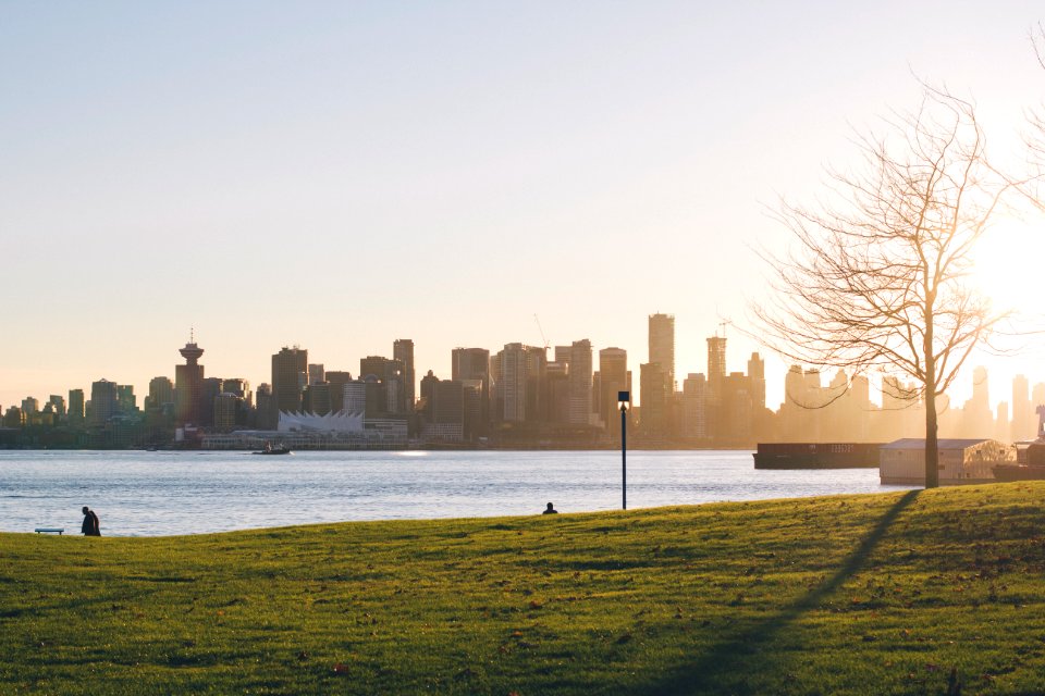 person sitting on grass lawn during sunset photo