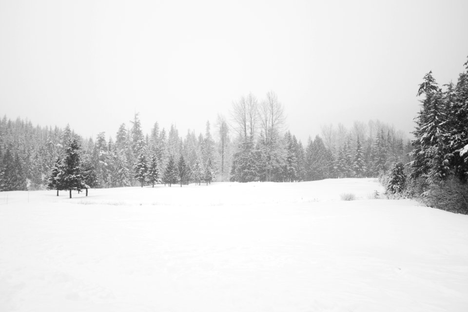 Whistler, Canada, Scape