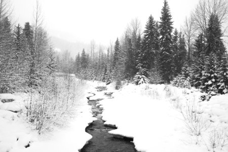 Whistler, Canada, Creek photo