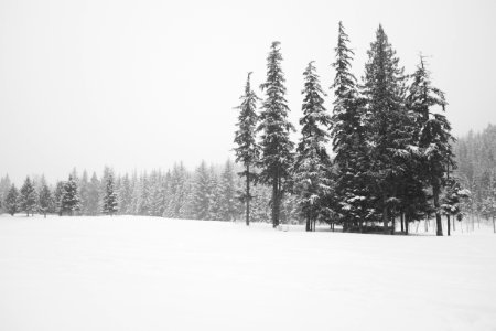 Whistler, Canada, Fields
