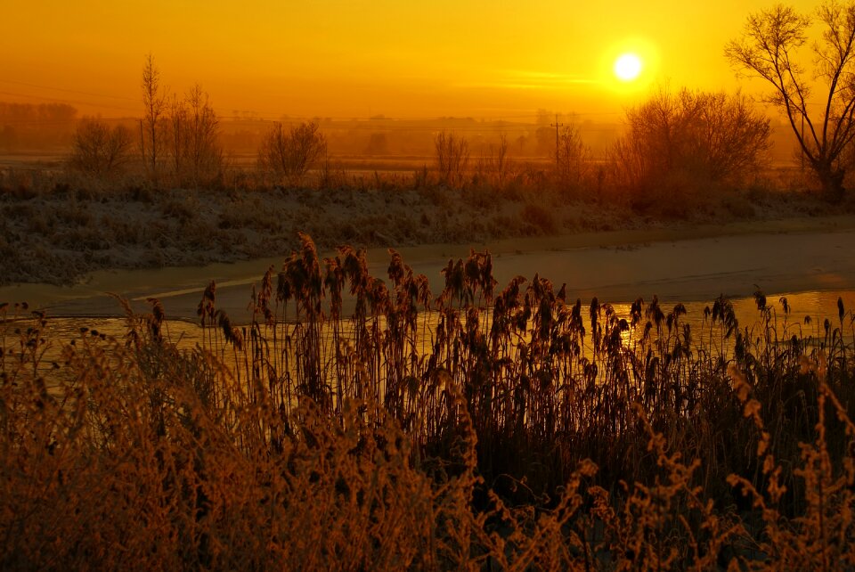 Light frost golden hour