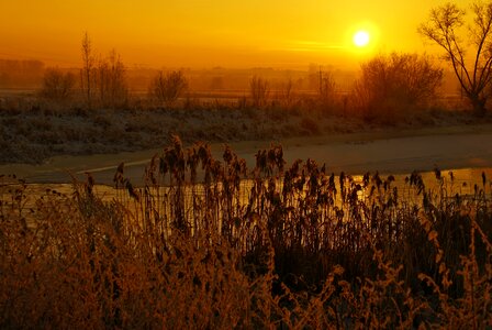 Light frost golden hour photo