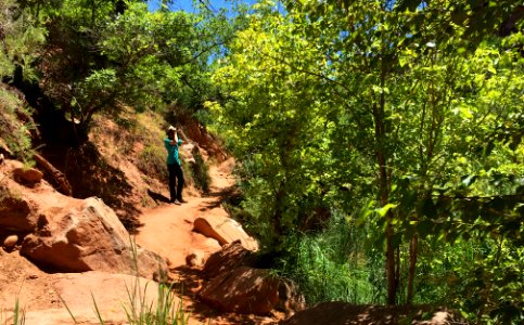 Moab, United states, Rock photo