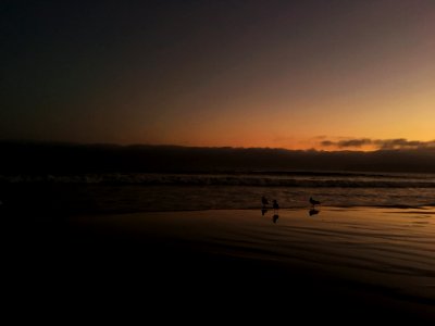 Coronado beach, Coronado, United states