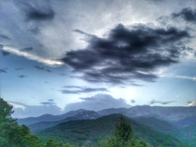 El arenal, Spain, Forest