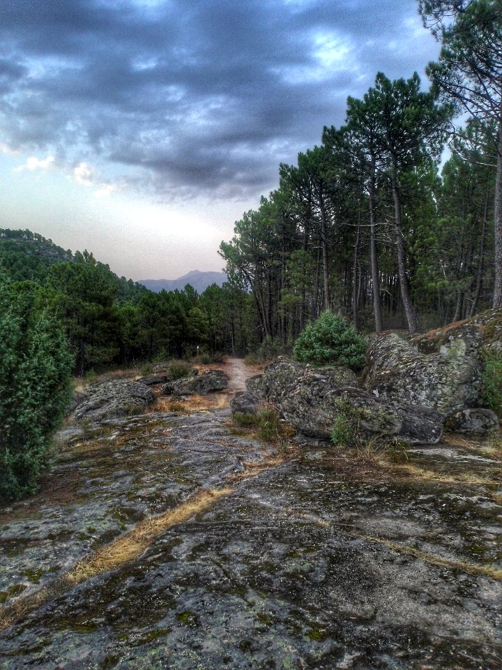 El arenal, Spain, Bajo tietar