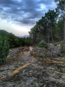 El arenal, Spain, Bajo tietar