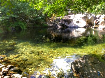 Spain, Ro pelayos, Guis