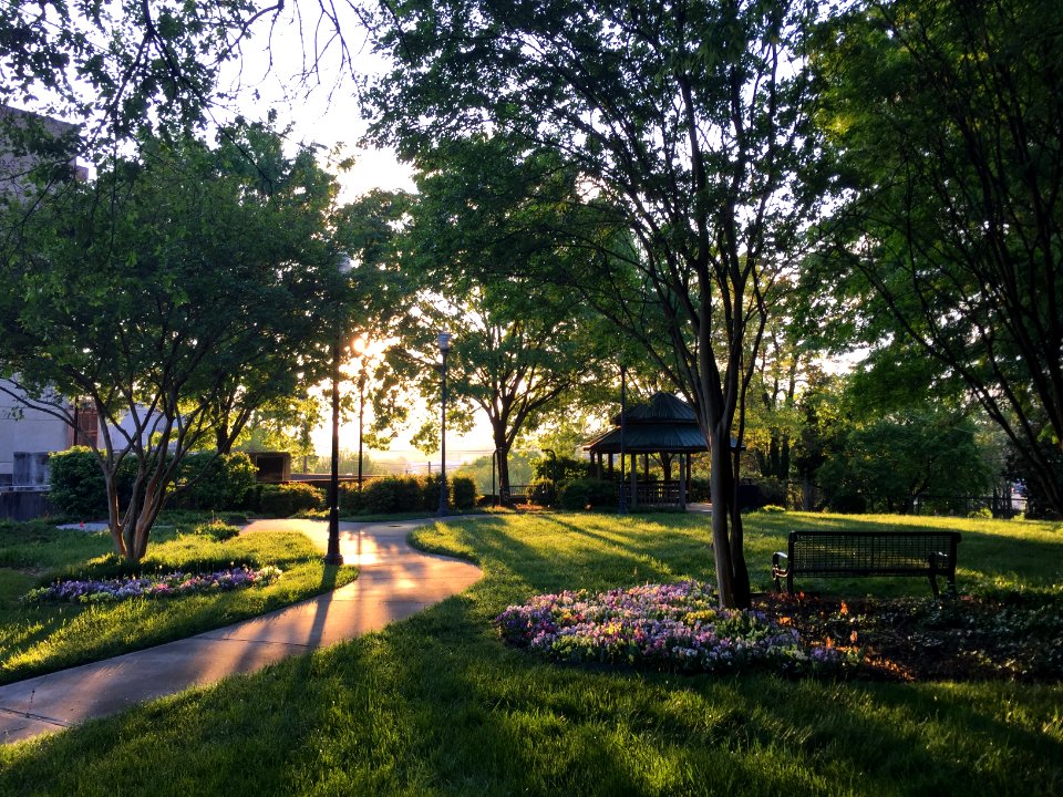 University of tennessee, Knoxville, United states
