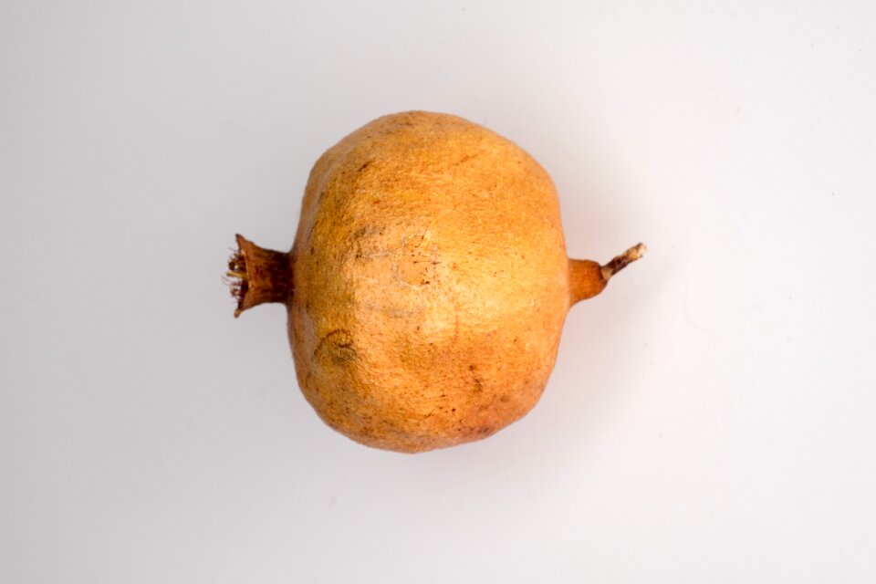 Old age pomegranate old grenades