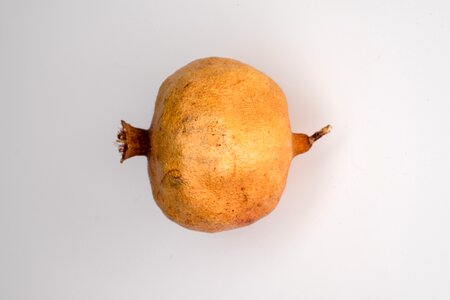 Old age pomegranate old grenades
