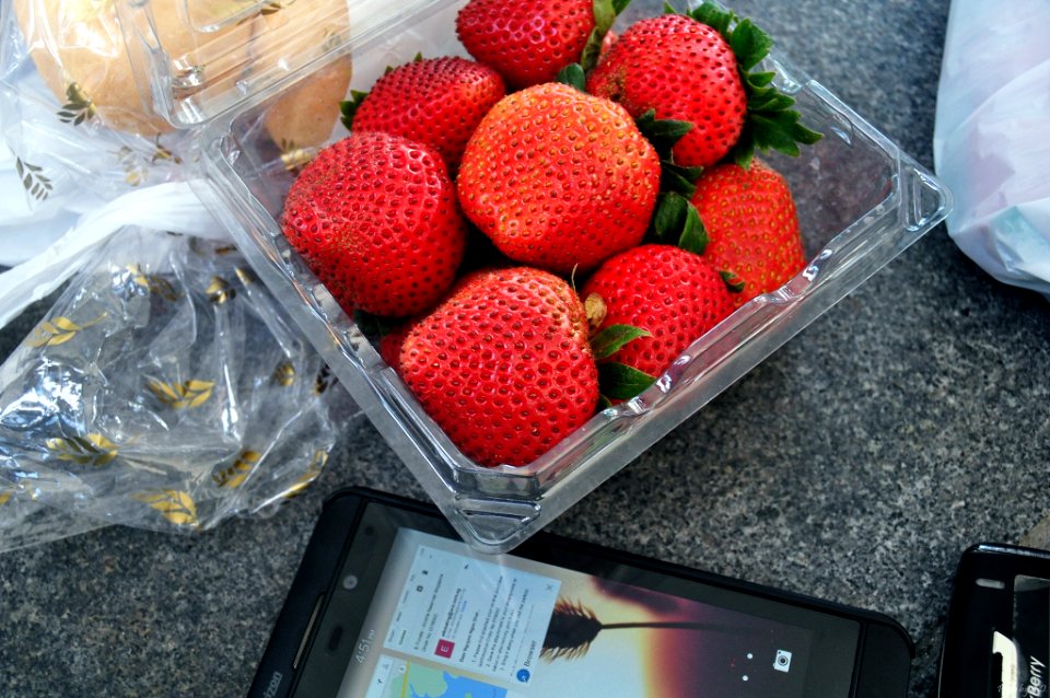 Singapore, Singapore zoo, Blackberry
