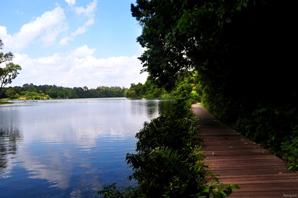 Singapore, Upper seletar reservoir, Lake