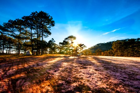 Dalat, Vietnam, Rays photo