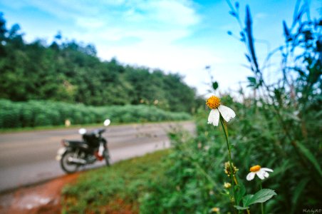 Travel, Rain, Spring