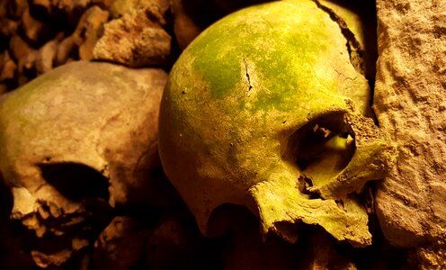 Bones cemetery halloween