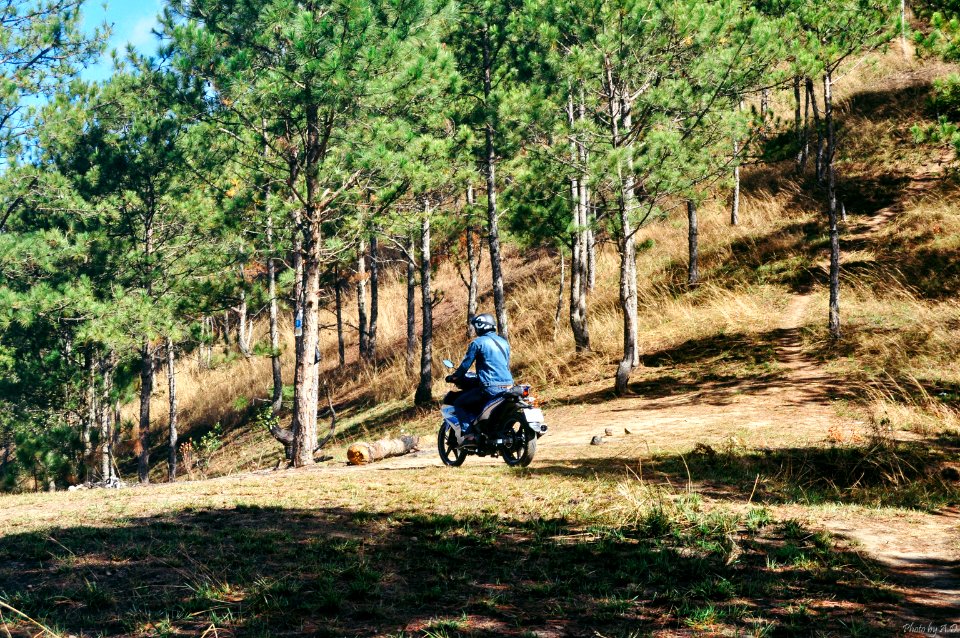 Dalat, Vietnam, Lam dong province photo