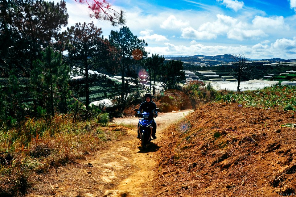 Dalat, Vietnam, Lam dong province photo