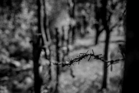 selective focus photography of barbed wire photo