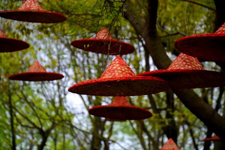 Xixi national wetl, Park, Hangzhou shi