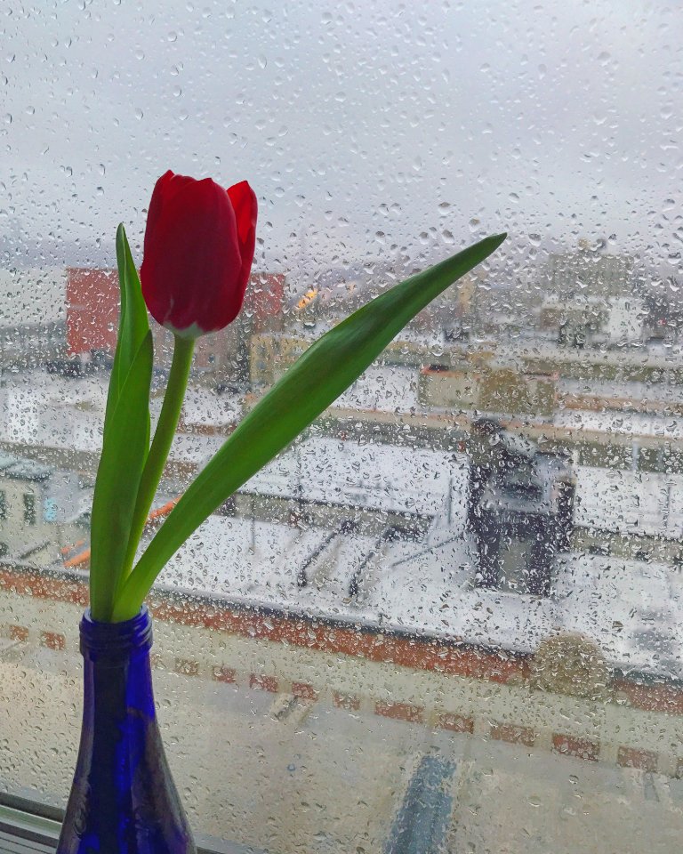Rainy day, Rain, Gloomy