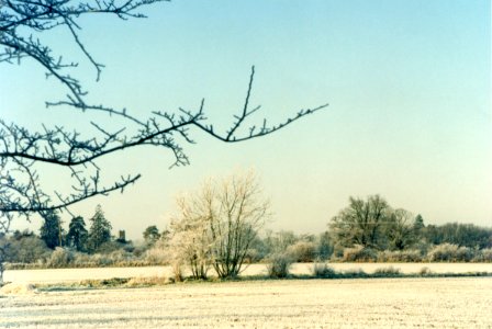 Ice, Frost, Daytime