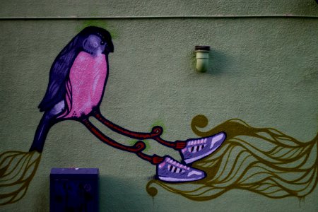 wall art of purple and pink bird photo