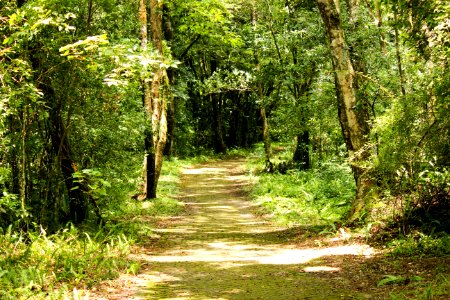 Taiwan, Aow, A national forest recreation area