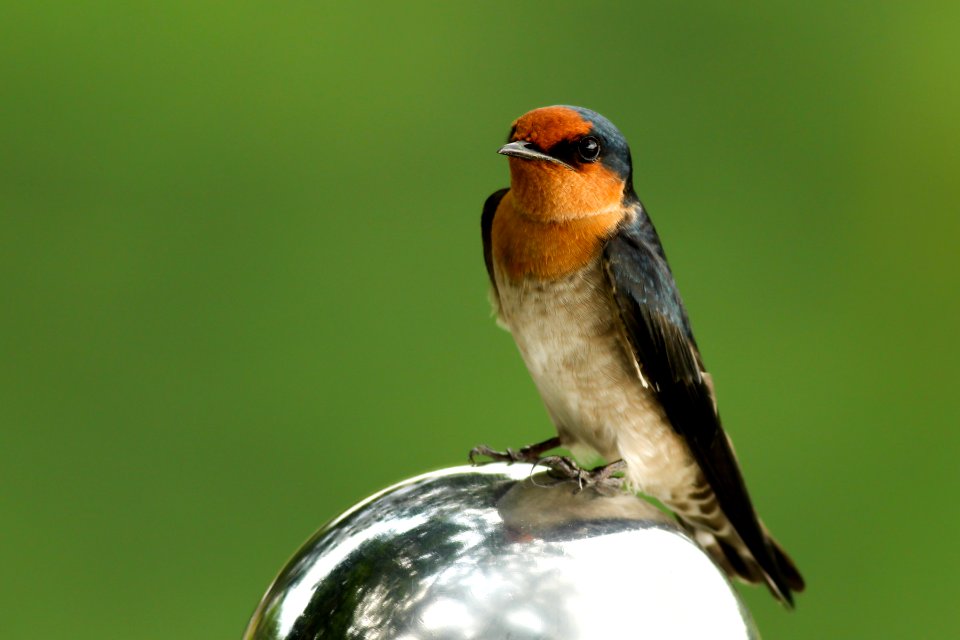 Taiwan, Kaohsiung city, Nature