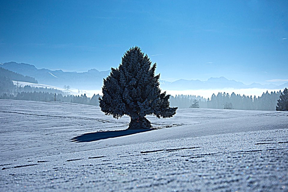 Cold, Frost, Mountain