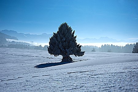 Cold, Frost, Mountain