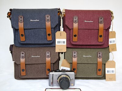 Postman fashion male