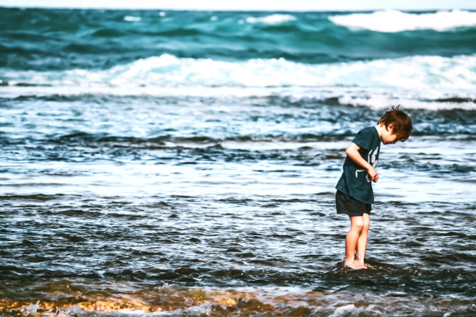 Sorrento ocean beach, Australia, Fishing